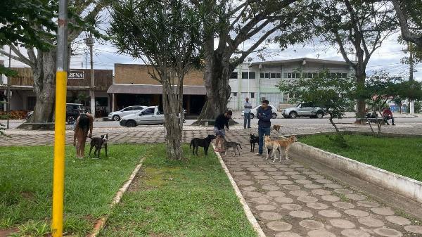 Secretaria de Meio Ambiênte de Serrinha instala bebedouro em vários pontos da cidade para animais