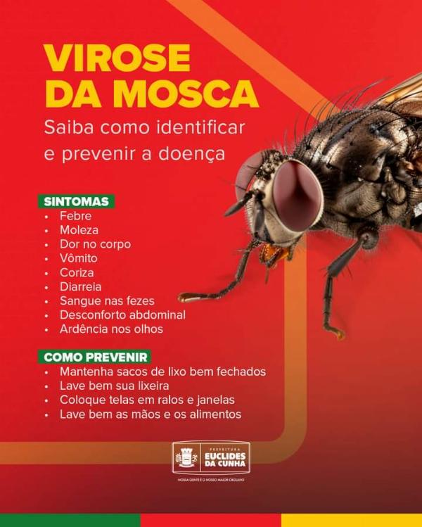 Municipio de Euclides da Cunha entra em alerta com a Virose da Mosca 