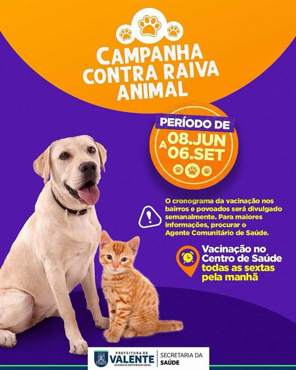 Prefeitura de Valente prossegue com a Campanha Contra a Raiva Animal 