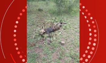 Departamento de Polícia Técnica recolhe ossada humana em Santa Bárbara 